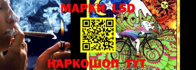 СК Моздок
