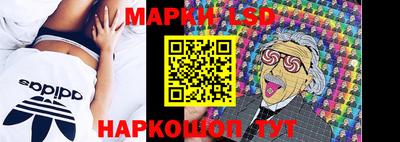СК Моздок