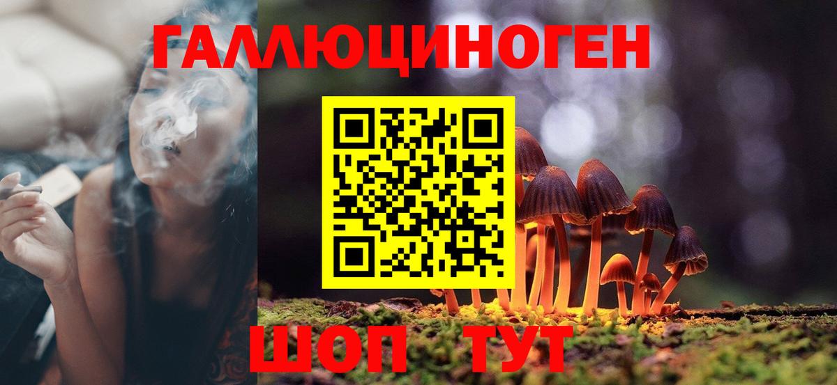 Черкесск  Галлюциногенные грибы Magic Shrooms  даркнет сайт  Вход с VPN 