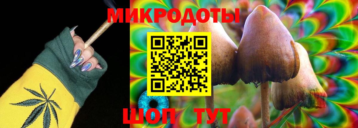 Псилоцибиновые грибы Cubensis Черкесск