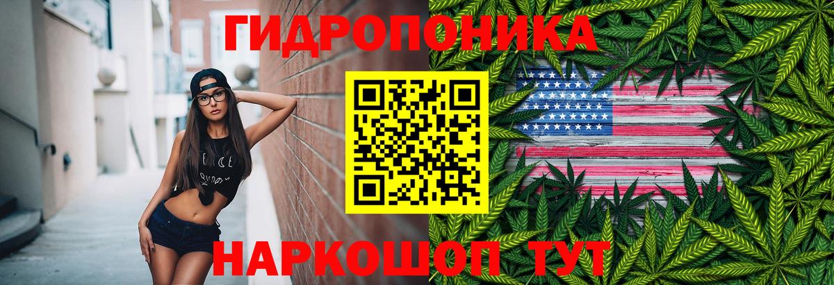Шишки марихуана конопля  Канабис Ganja  Вход с VPN  Марихуана Amnesia  Шишки марихуана планчик  Черкесск 